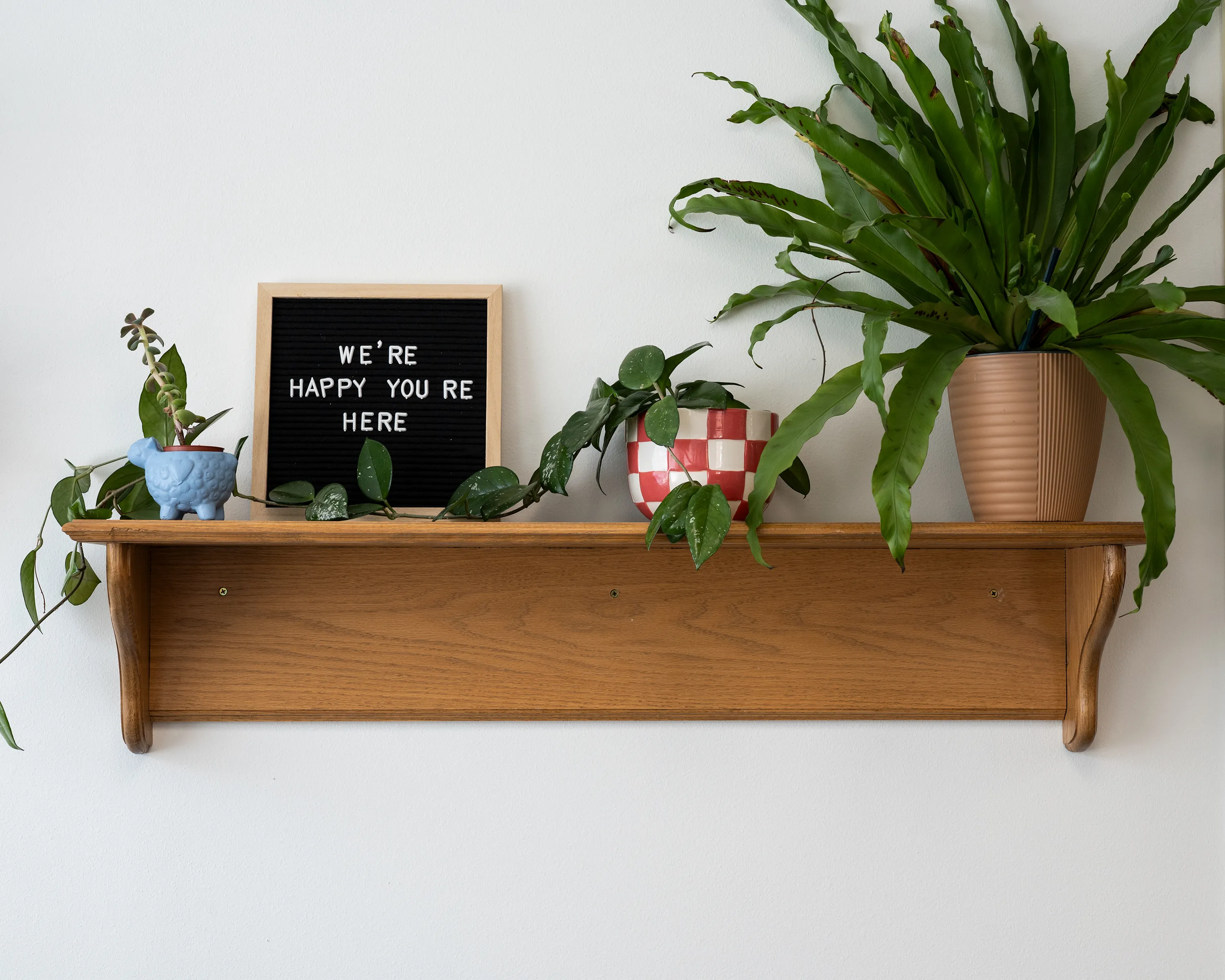 A wooden shelf in the library holding potted plants and a letter board that reads: We're happy you're here